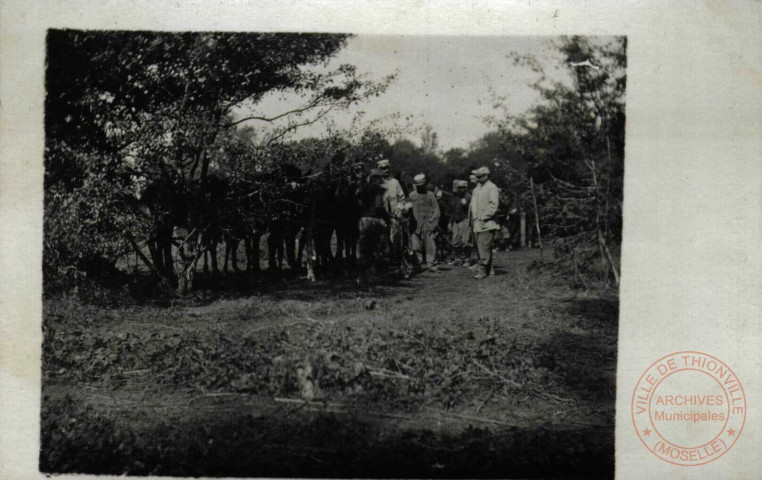 [Guerre de 1914 - Soldats ]