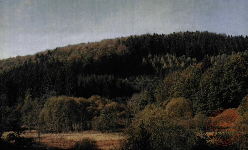 Soucht - Automne dans la vallée du ruisseau de Saint-Louis