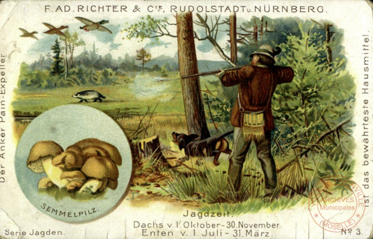 Série de chasse - Canards et blaireau - Chasseur et chien - Champignons.