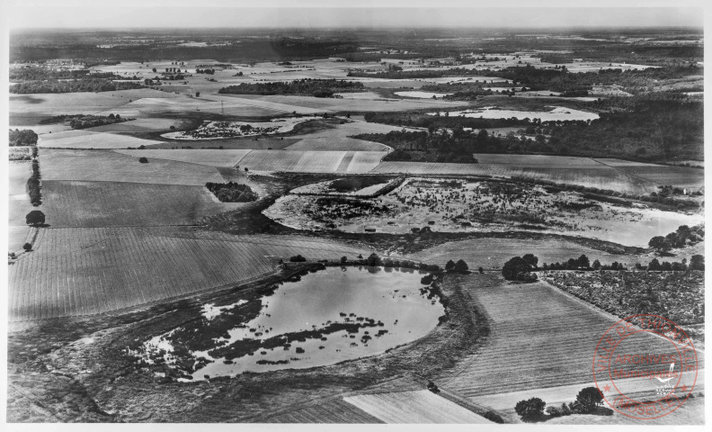 19. L'étang, le marais - Paysage d'étangs en Sologne