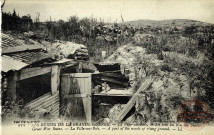 Les Ruines de la Grande Guerre - La Ville-au-Bois - Un coin au Bois de Buttes