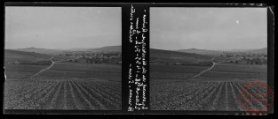 Epernay (51), vue depuis la Montagne de Reims