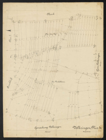 Volkringen, Flur 4 Massstab 1:1000.