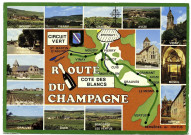 Route du Champagne - Circuit vert - Cote des Blancs