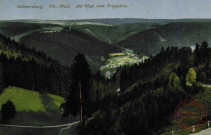 Schawrzburg. Thr. Wald. Am Wege zum Trippstein.