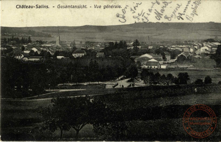 Château-Salins - Gesamtansicht - Vue Générale