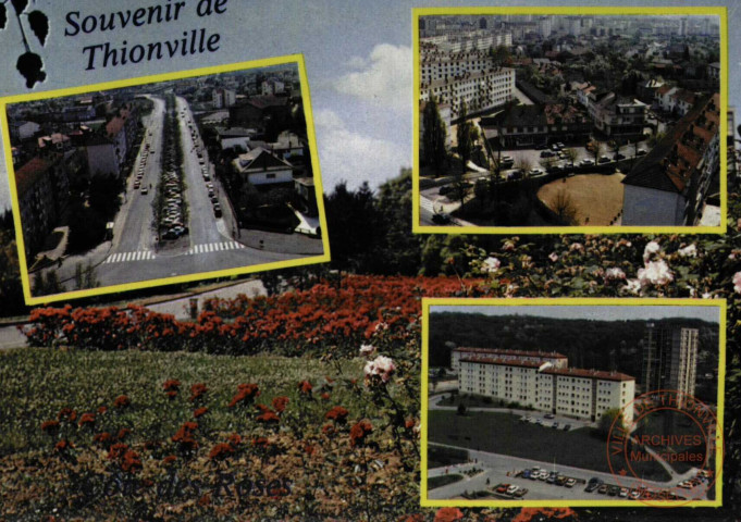 Souvenir de Thionville - Côte des Roses