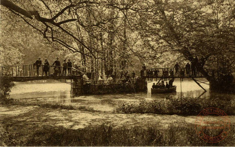 Petit Séminaire des Pères des Sacrés-Coeurs (Ecole Apostolique) Waudrez-les-Binche - Les îles et les ponts de l'étang