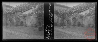 Roseraie depuis le domicile du photographe Henri Persin (Marne, 51)