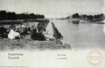 Diedenhofen - Die Mosel / Thionville - La Moselle - Thionville en 1902 - Les vaches au bord de la Moselle