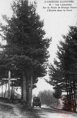 Cartes d'Autrefois (1890-1920) - France pittoresque - L'Ardèche illustrée - Le Louvesc - Sur la route de Grange Neuve - L'entrée dans la forêt