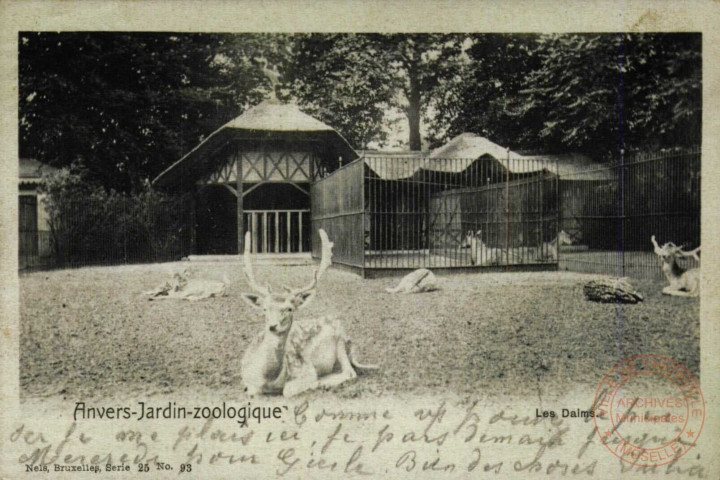 Anvers. Jardin-Zoologique.