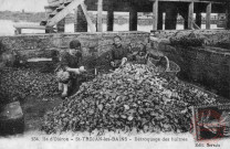 Cartes d'Autrefois (1890-1920) - Travail à la campagne - Ile d'Oléron - St-Trojan-les-Bains - Détroquage des huîtres