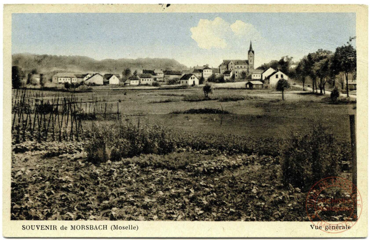 Souvenir de MORSBACH (Moselle) - Vue générale