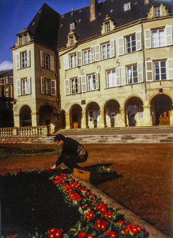 Un employé des Espaces Verts réalise des plantations devant l'Hôtel de Ville de Thionville