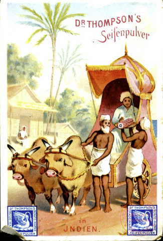 Attelage de bœufs en Inde