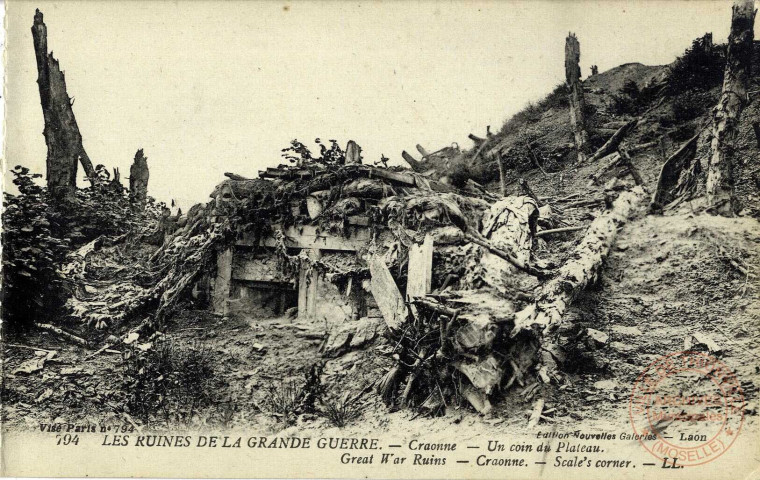 Les Ruines de la Grande Guerre - Craonne - Un coin du Plateau